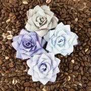 Prima Flowers - Kindled Beryl #655350 4pc #12